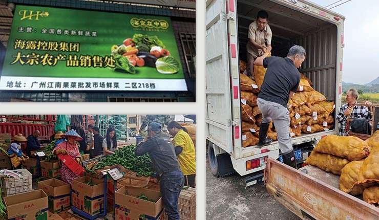 PA视讯(中国)集团官网 - PlayAce