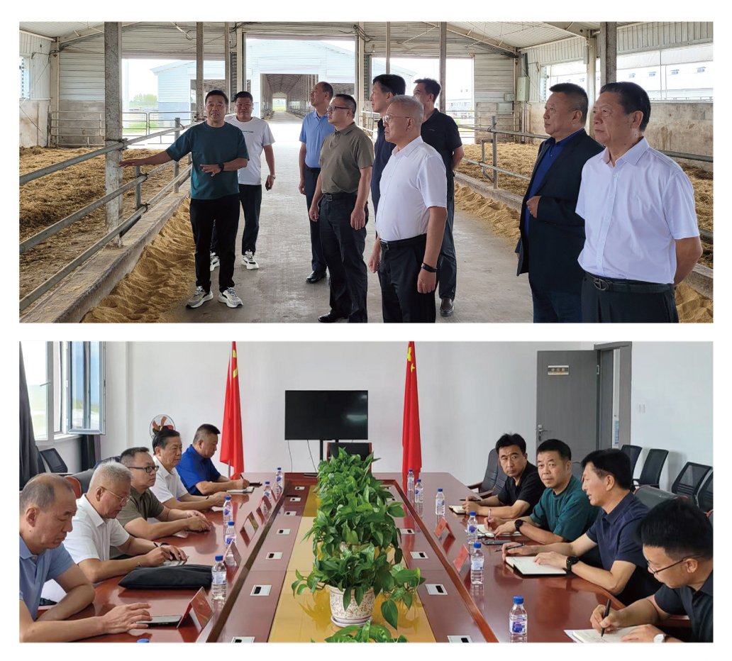 PA视讯(中国)集团官网 - PlayAce