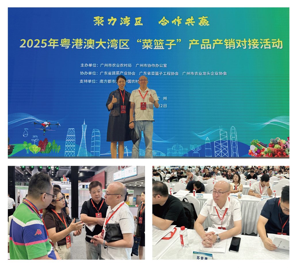 PA视讯(中国)集团官网 - PlayAce