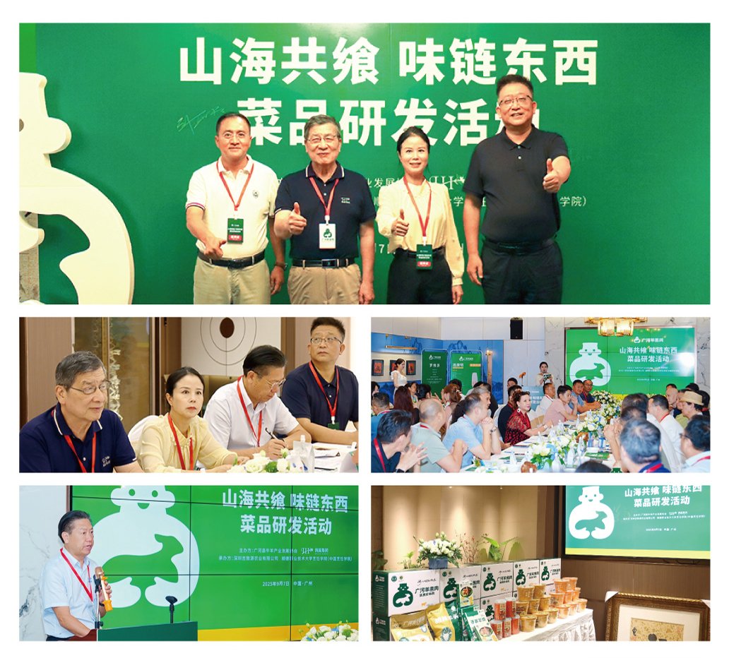 PA视讯(中国)集团官网 - PlayAce