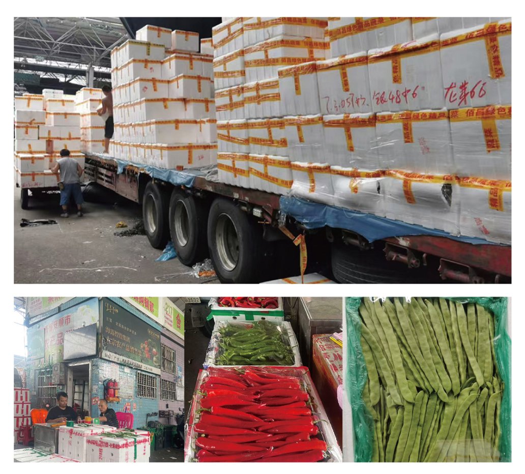 PA视讯(中国)集团官网 - PlayAce