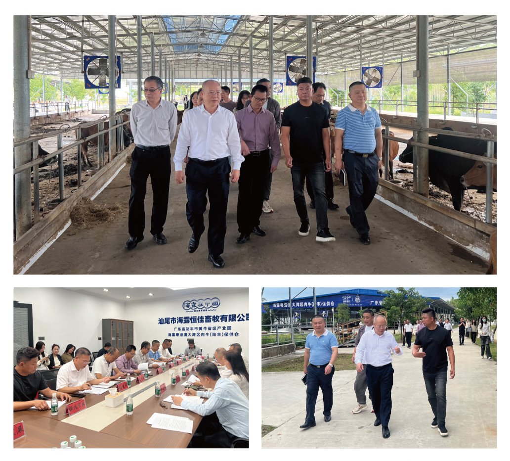 PA视讯(中国)集团官网 - PlayAce