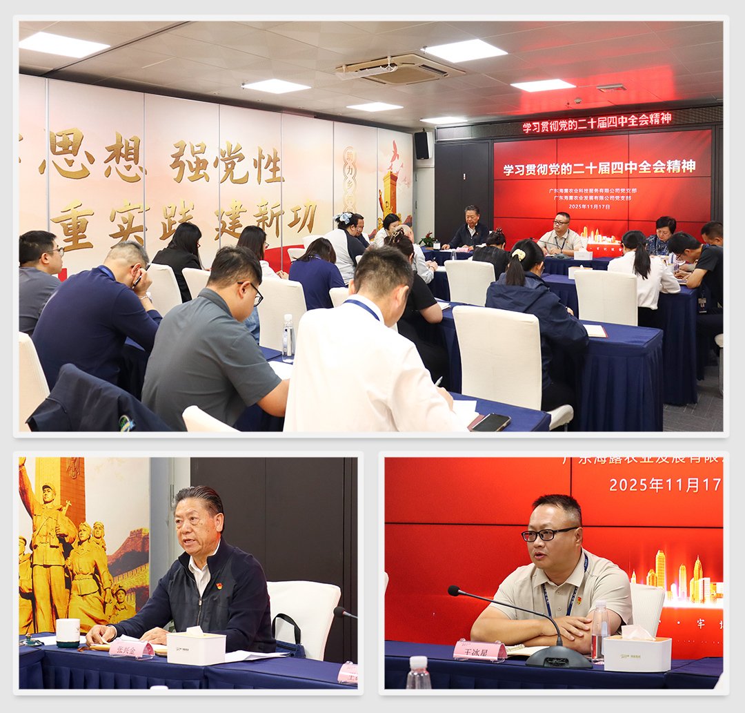 PA视讯(中国)集团官网 - PlayAce